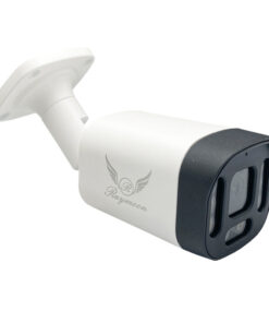 دوربین مداربسته تحت شبکه رایمون مدل RB-5MP-8313-IP