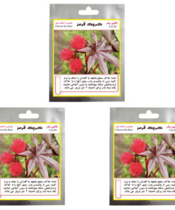 بذر گل کرچک قرمز تالین بذر مدل TAL-003 مجموعه 3 عددی