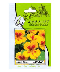 بذر گل لادن آرکا بذر ایرانیان کد 80-ARK