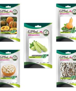 بذر کدو گلبرگ پامچال کد G-P-GP-05 مجموعه 5 عددی
