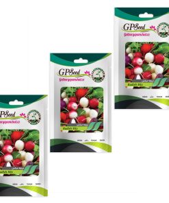 بذر تربچه میکس گلبرگ پامچال کد GPF-331 مجموعه 3 عددی